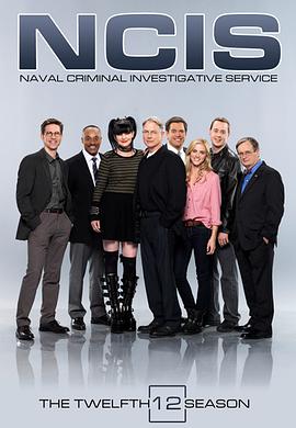 海军罪案调查处 第十二季 第23集