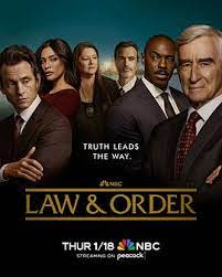 法律与秩序 第二十三季 第06集